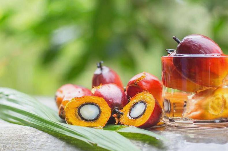 How You Can Avoid Palm Oil