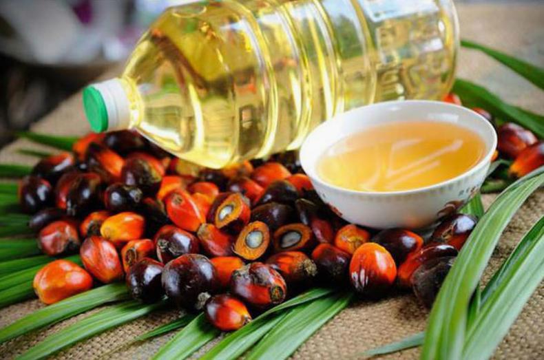 What are the benefits of palm oil?