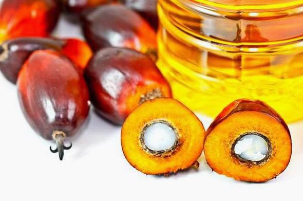 side effects of palm oil