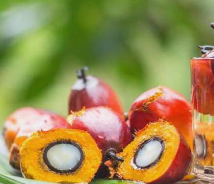 How You Can Avoid Palm Oil