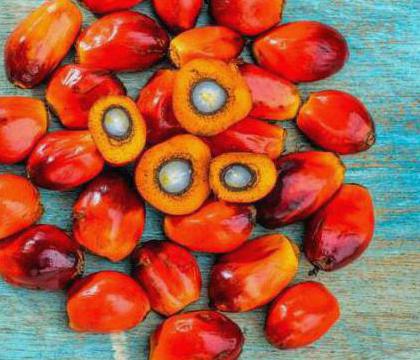 What are the side effects of palm oil?